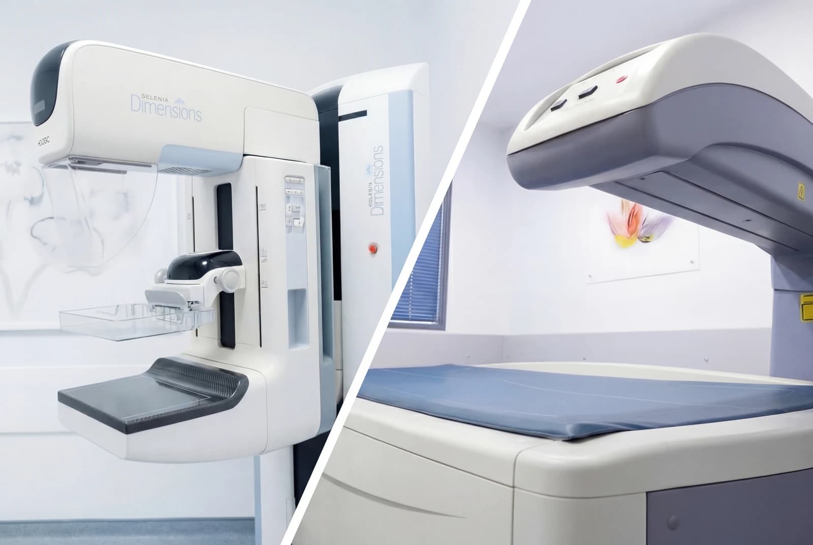 Νέες Υπηρεσίες